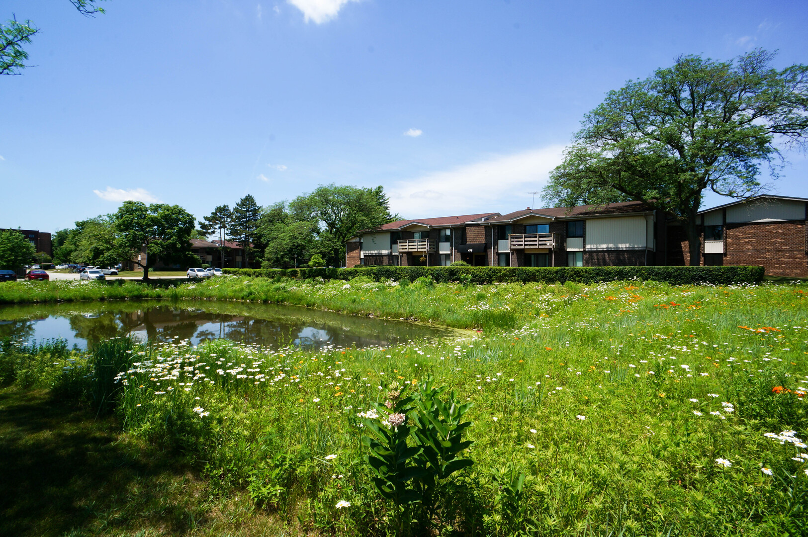 455 Raintree Court #1C, Glen Ellyn, IL 60137