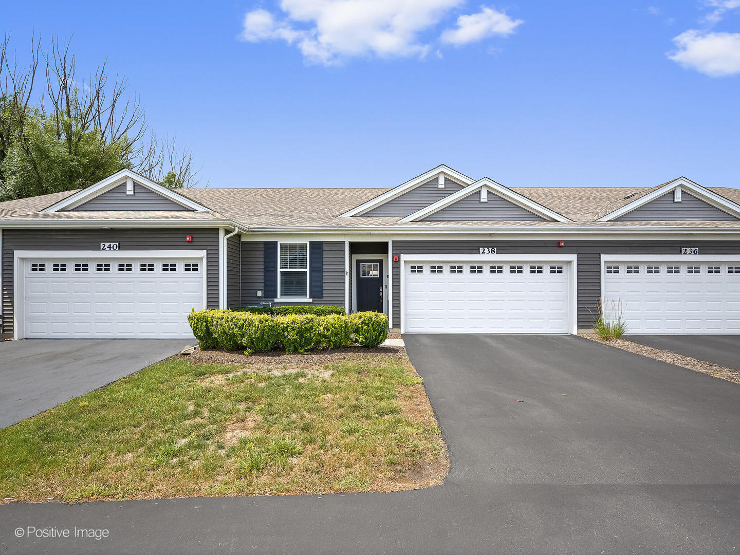 238 Sussex Lane, North Aurora, IL 60542