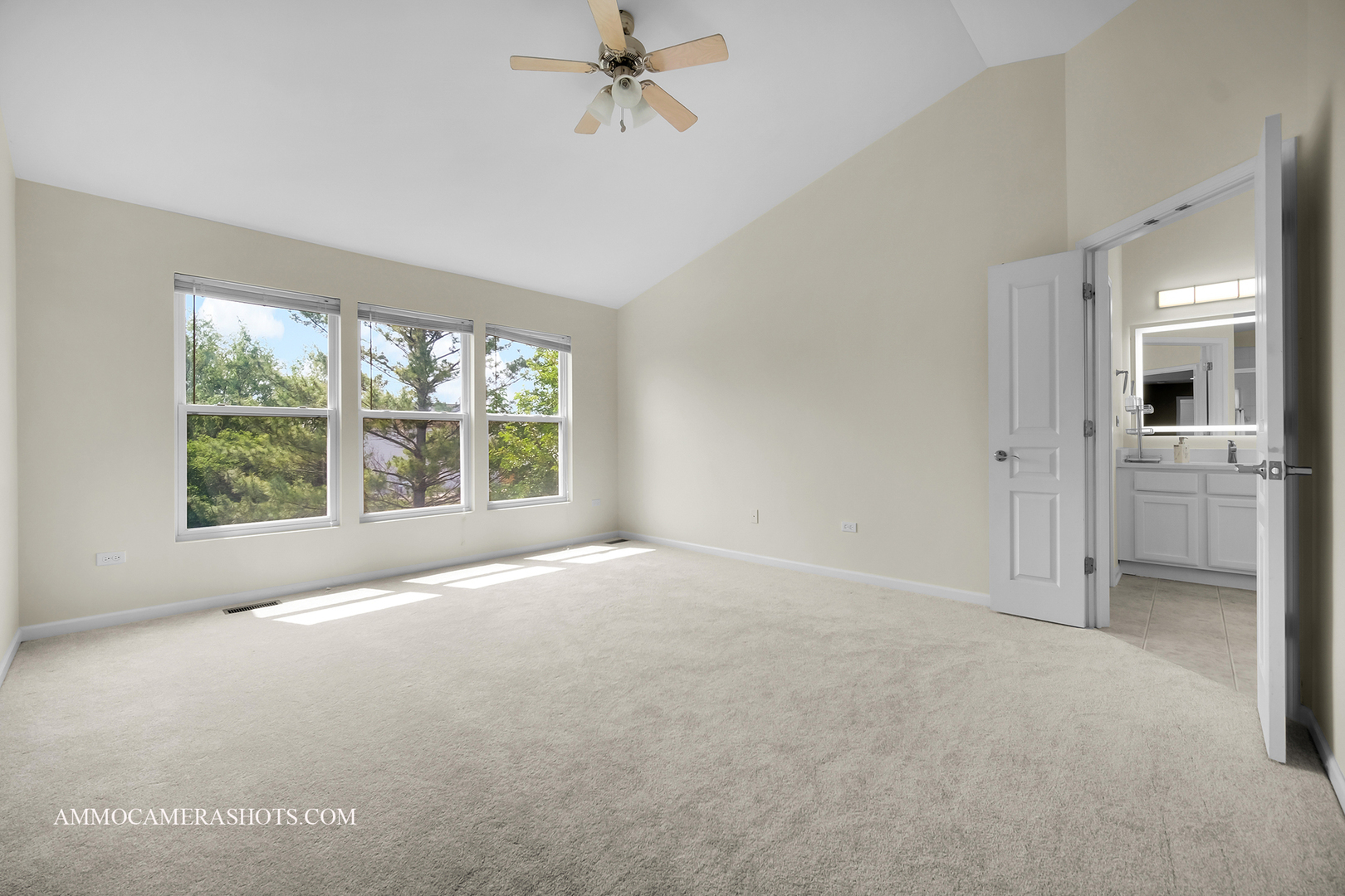 351 Tiger Street, Bolingbrook, IL 60490