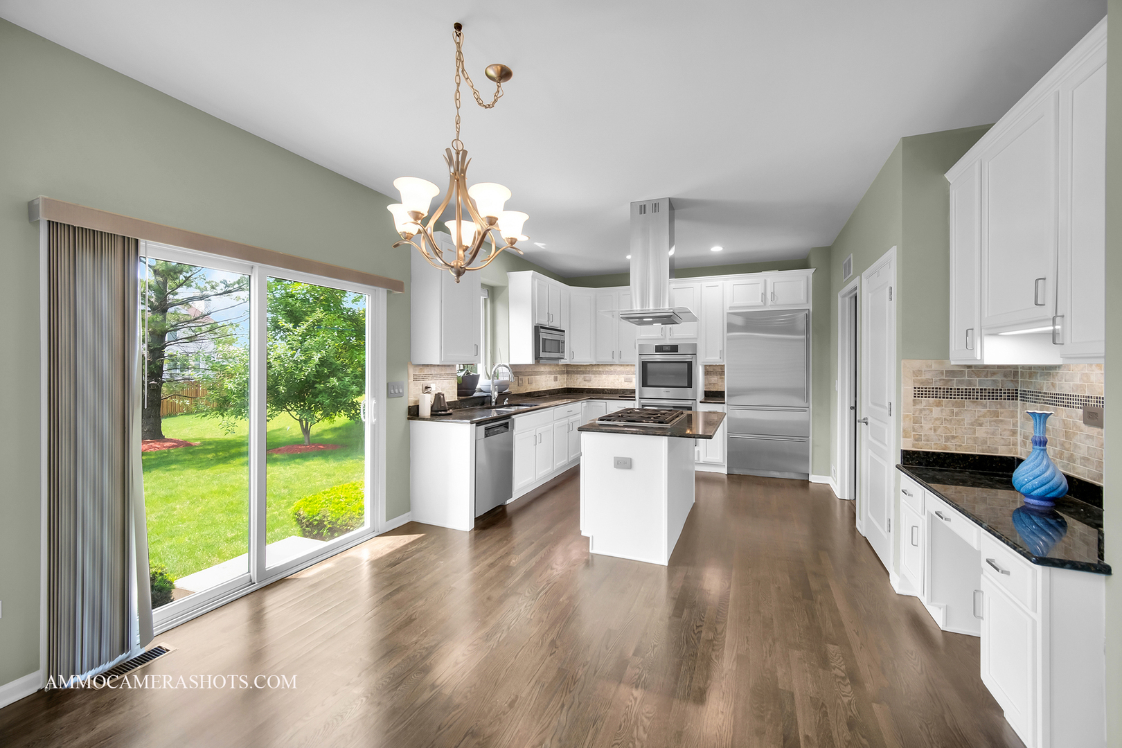 351 Tiger Street, Bolingbrook, IL 60490