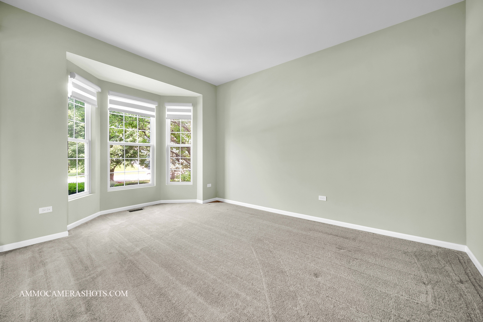 351 Tiger Street, Bolingbrook, IL 60490
