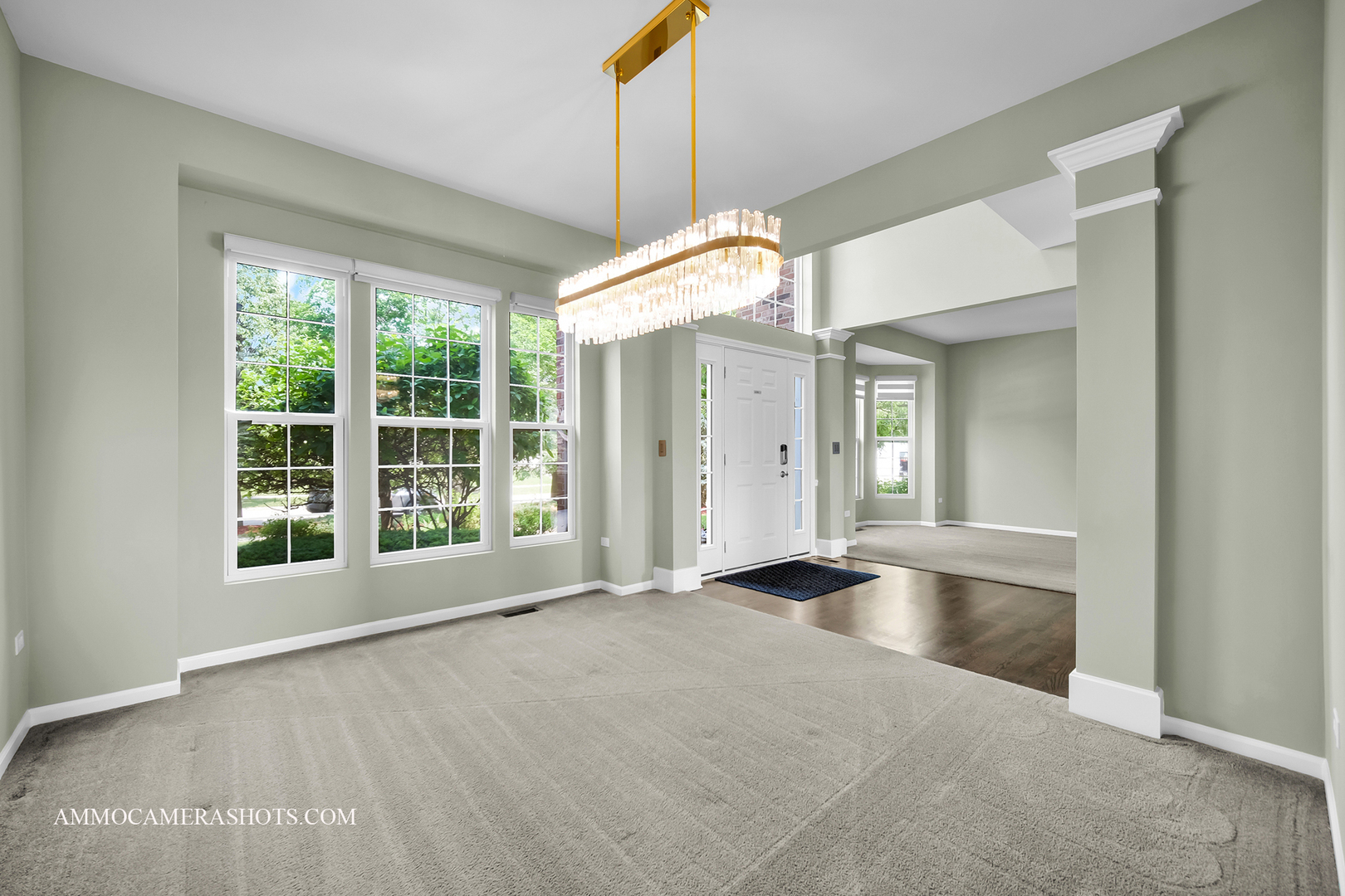 351 Tiger Street, Bolingbrook, IL 60490