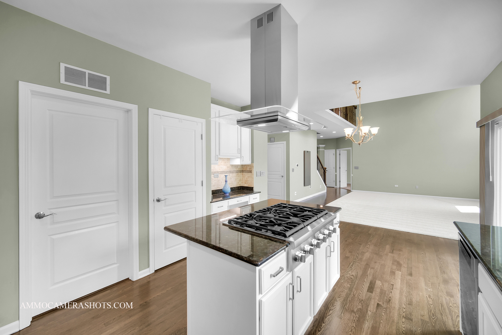 351 Tiger Street, Bolingbrook, IL 60490