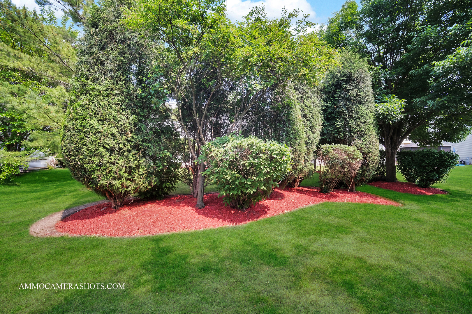 351 Tiger Street, Bolingbrook, IL 60490