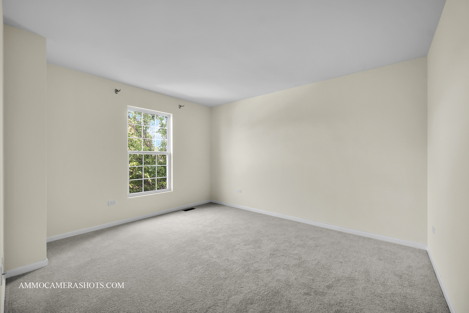 351 Tiger Street, Bolingbrook, IL 60490