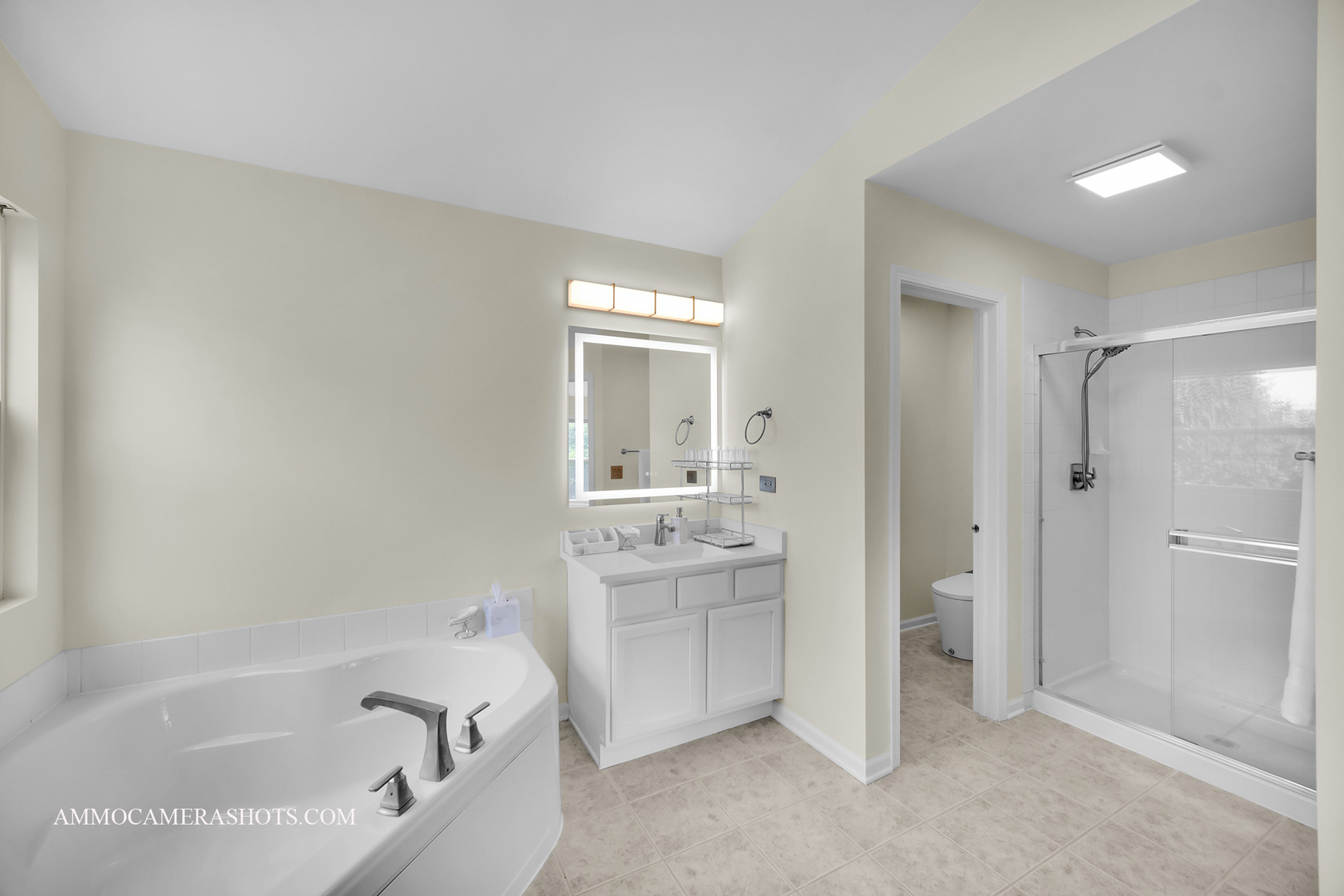 351 Tiger Street, Bolingbrook, IL 60490