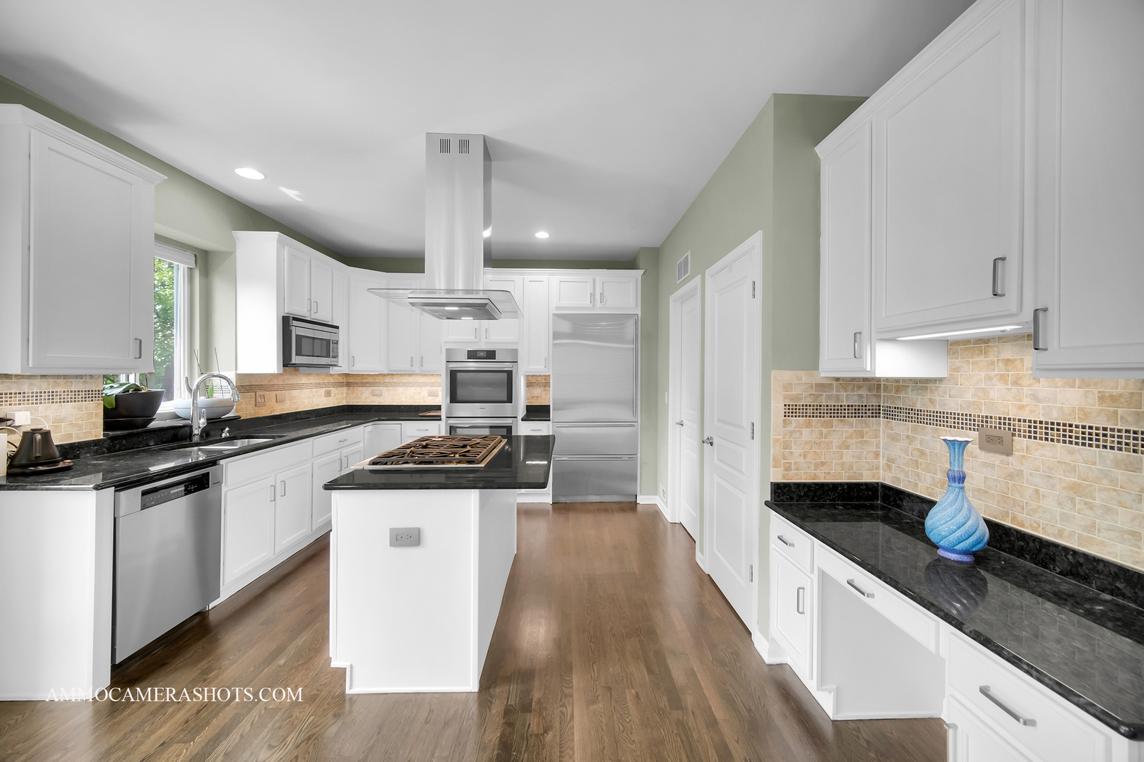 351 Tiger Street, Bolingbrook, IL 60490
