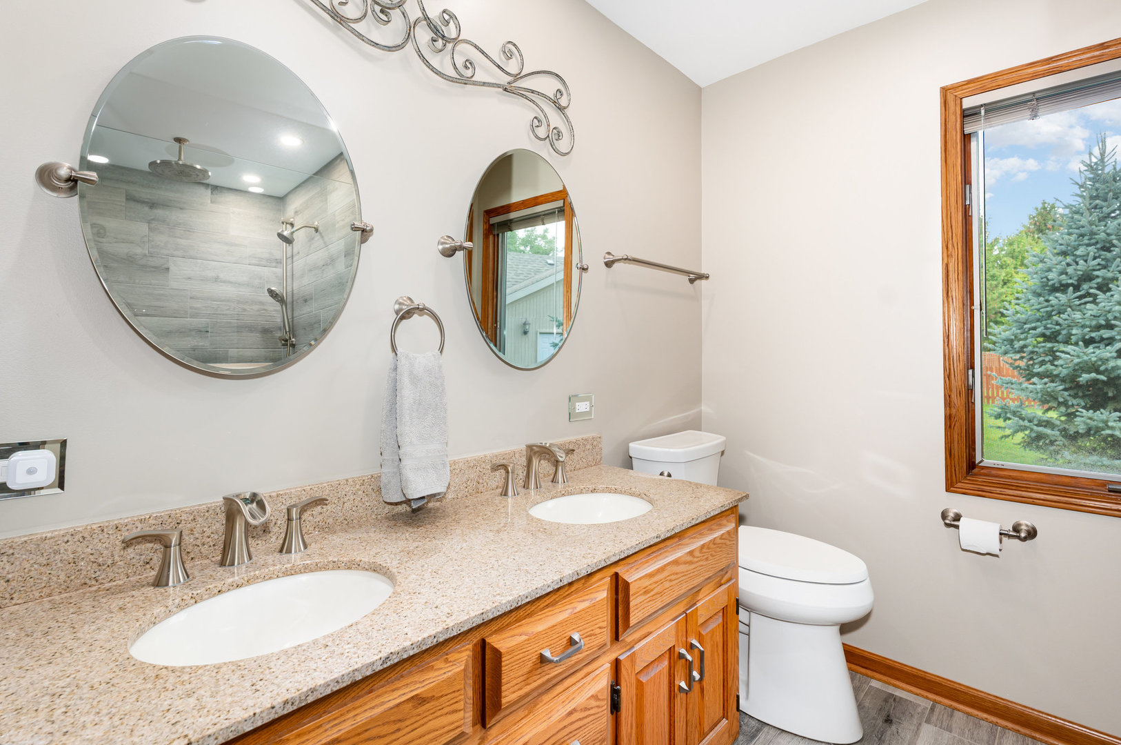 1228 Conquest Court, Shorewood, IL 60404