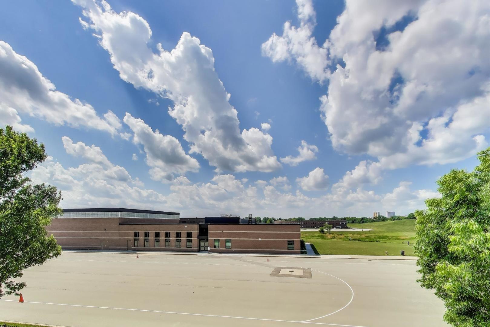 301 Alpine Springs Drive, Vernon Hills, IL 60061