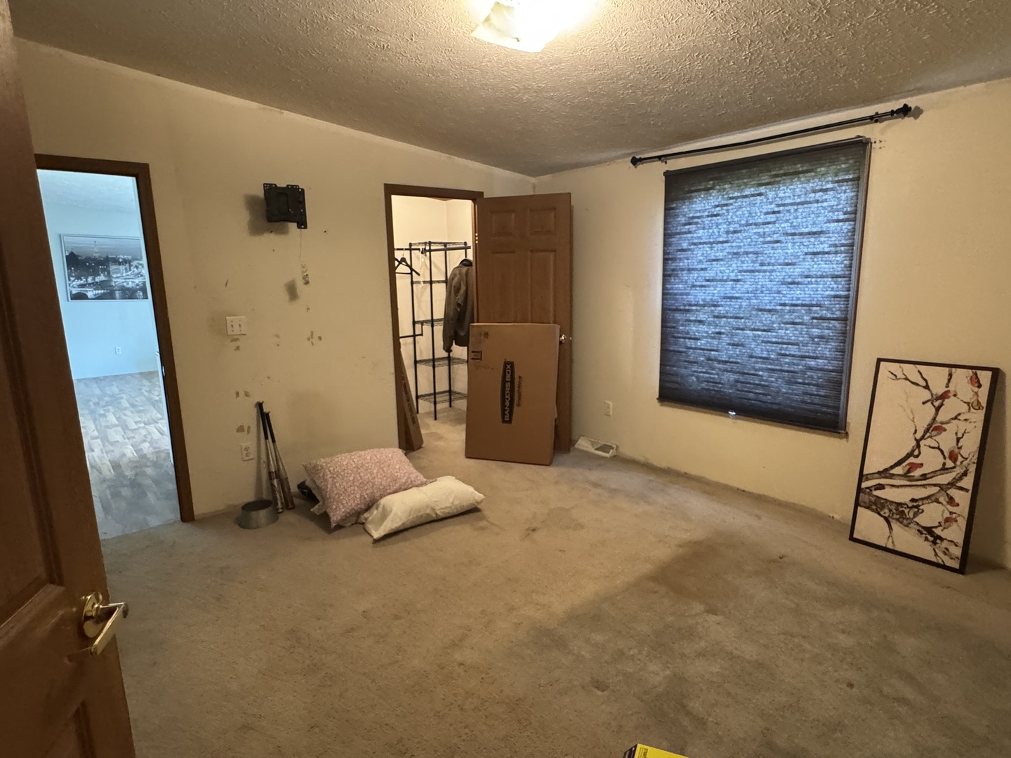 810 Harding Avenue, Gillespie, IL 62033
