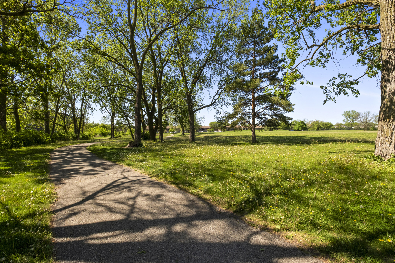 974 Crabapple Drive #308, Prospect Heights, IL 60070