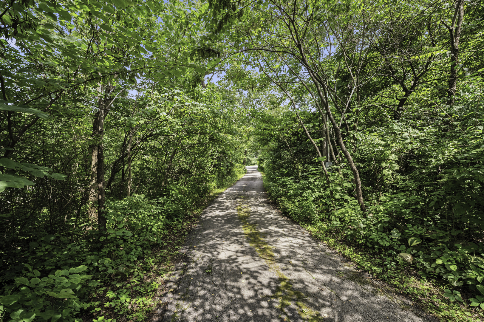 14655 W Walnut Avenue, Homer Glen, IL 60491