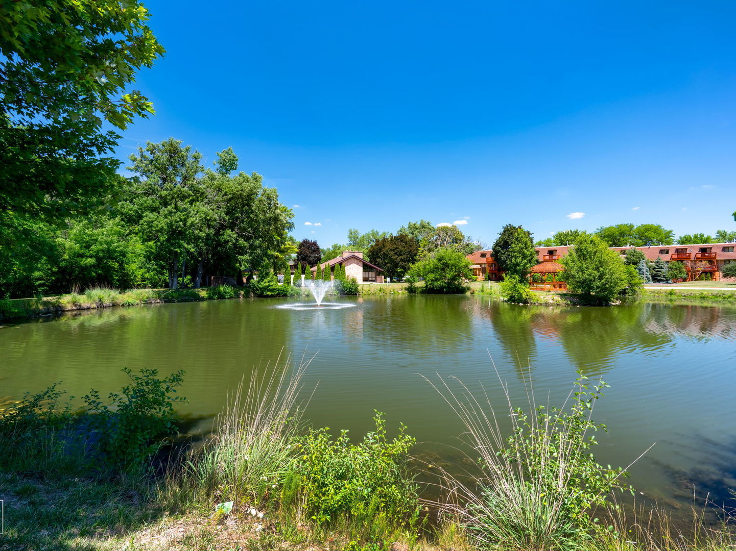 1850 Tall Oaks Drive #2206, Aurora, IL 60505