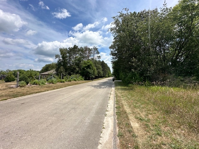 151 Norfolk Way, Essex, IL 60935
