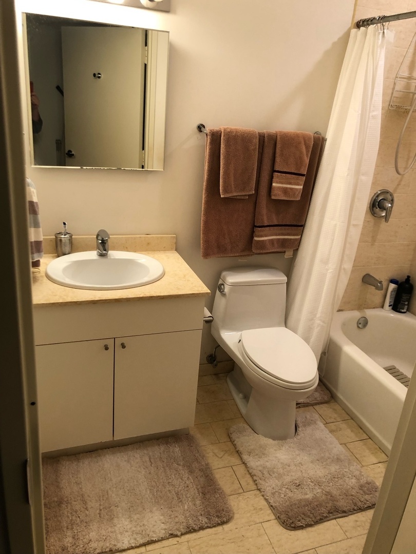 653 N Kingsbury Street #1208, Chicago, IL 60654