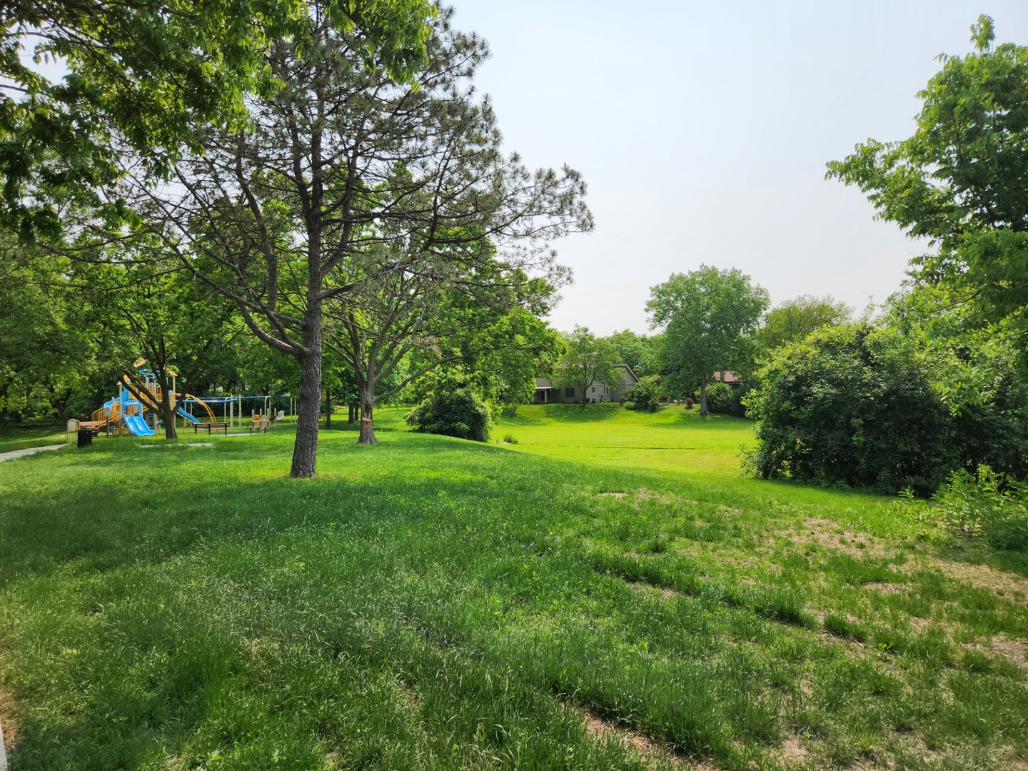 3273 Drew Street, Downers Grove, IL 60515