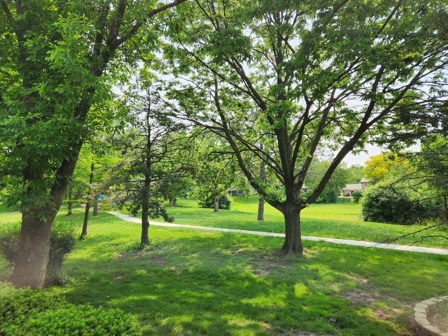 3273 Drew Street, Downers Grove, IL 60515