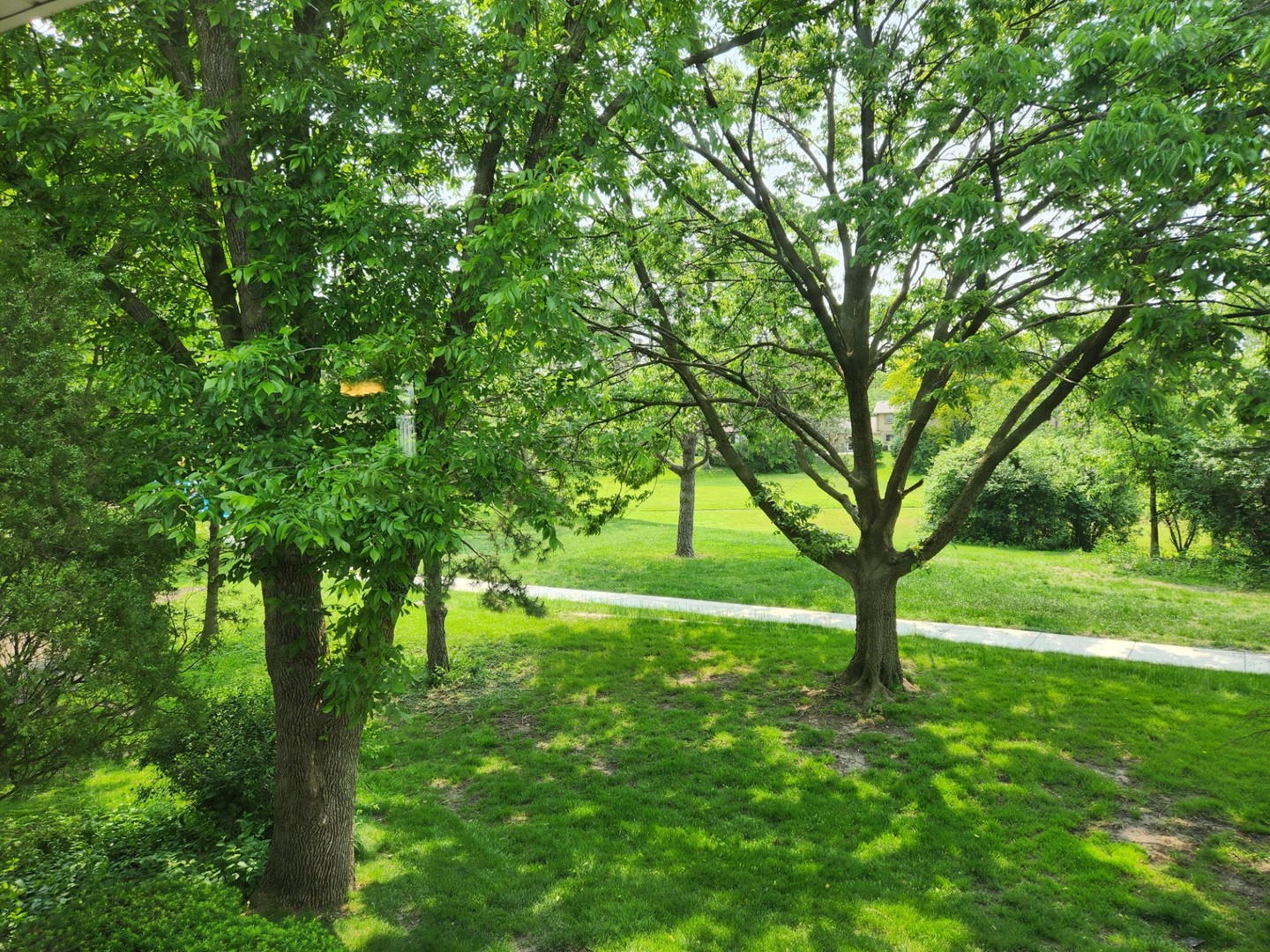 3273 Drew Street, Downers Grove, IL 60515