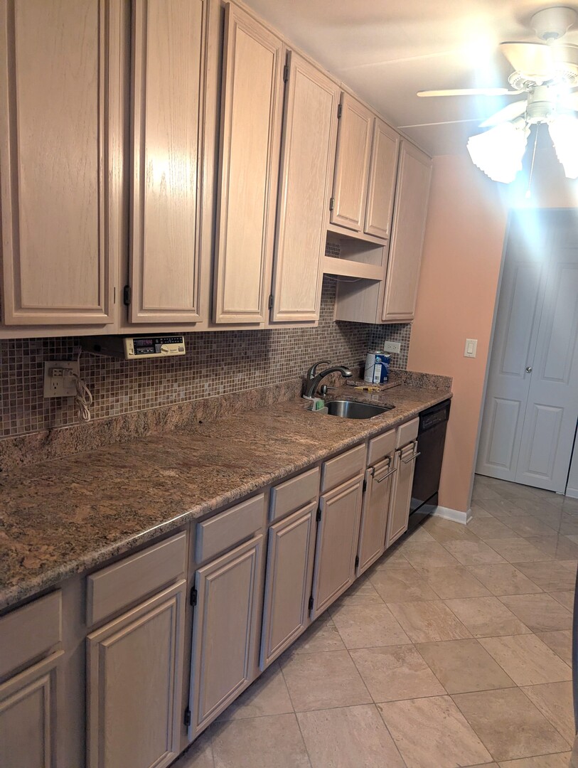 225 S Rohlwing Road #508, Palatine, IL 60074