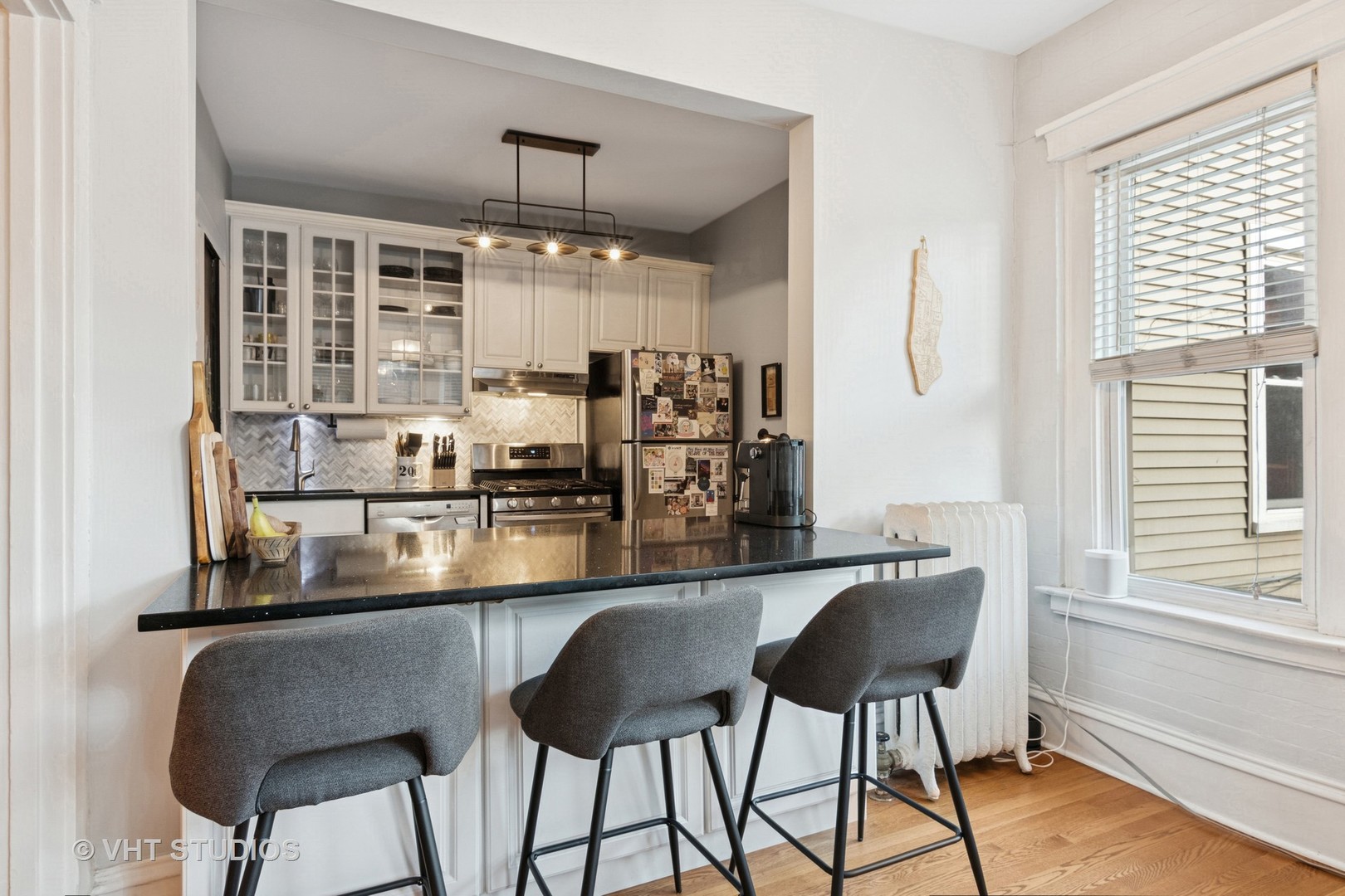 629 W Buckingham Place #1W, Chicago, IL 60657