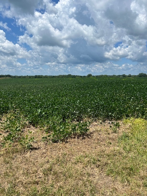 2000 County Road, Varna, IL 61375
