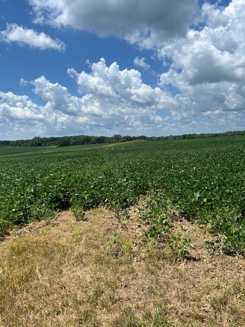 2000 County Road, Varna, IL 61375