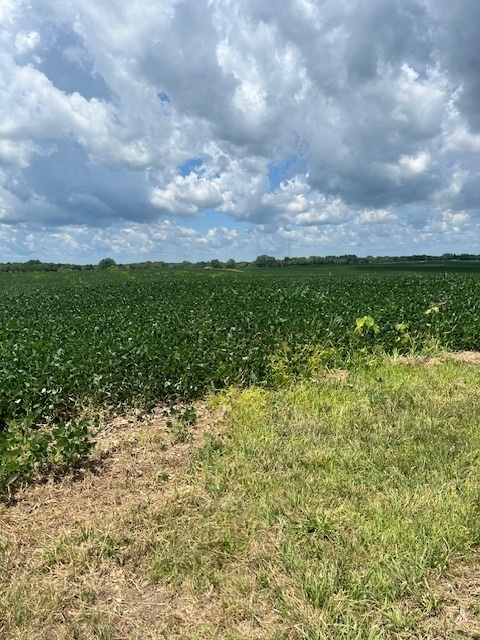 2000 County Road, Varna, IL 61375