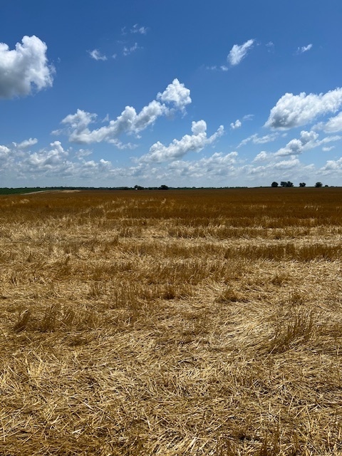 2000 County Road, Varna, IL 61375