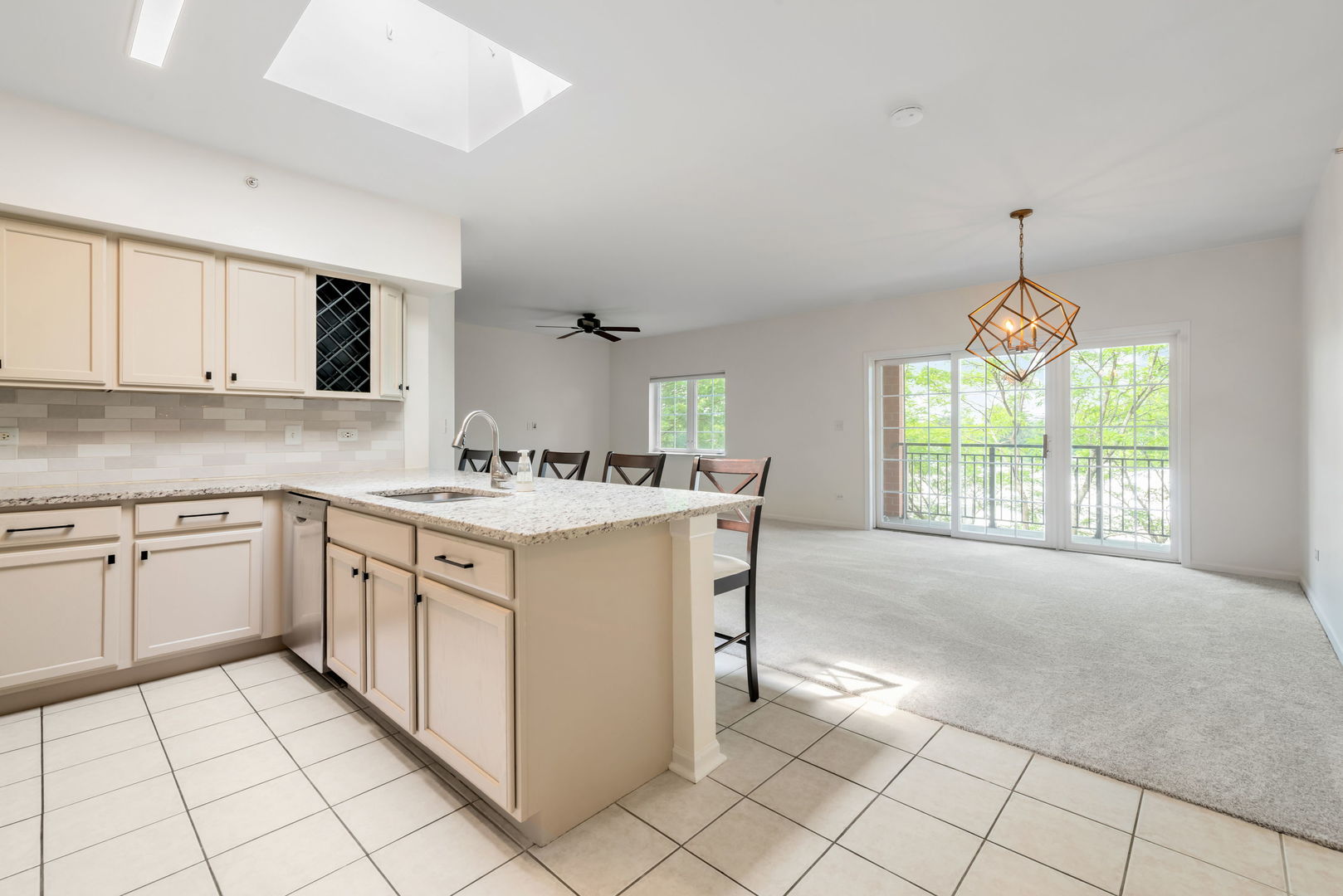 55 S Hale Street #403, Palatine, IL 60067