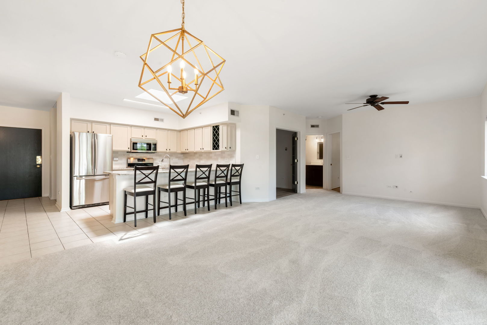 55 S Hale Street #403, Palatine, IL 60067