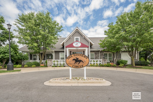 426 Fayette Drive, Oswego, IL 60543