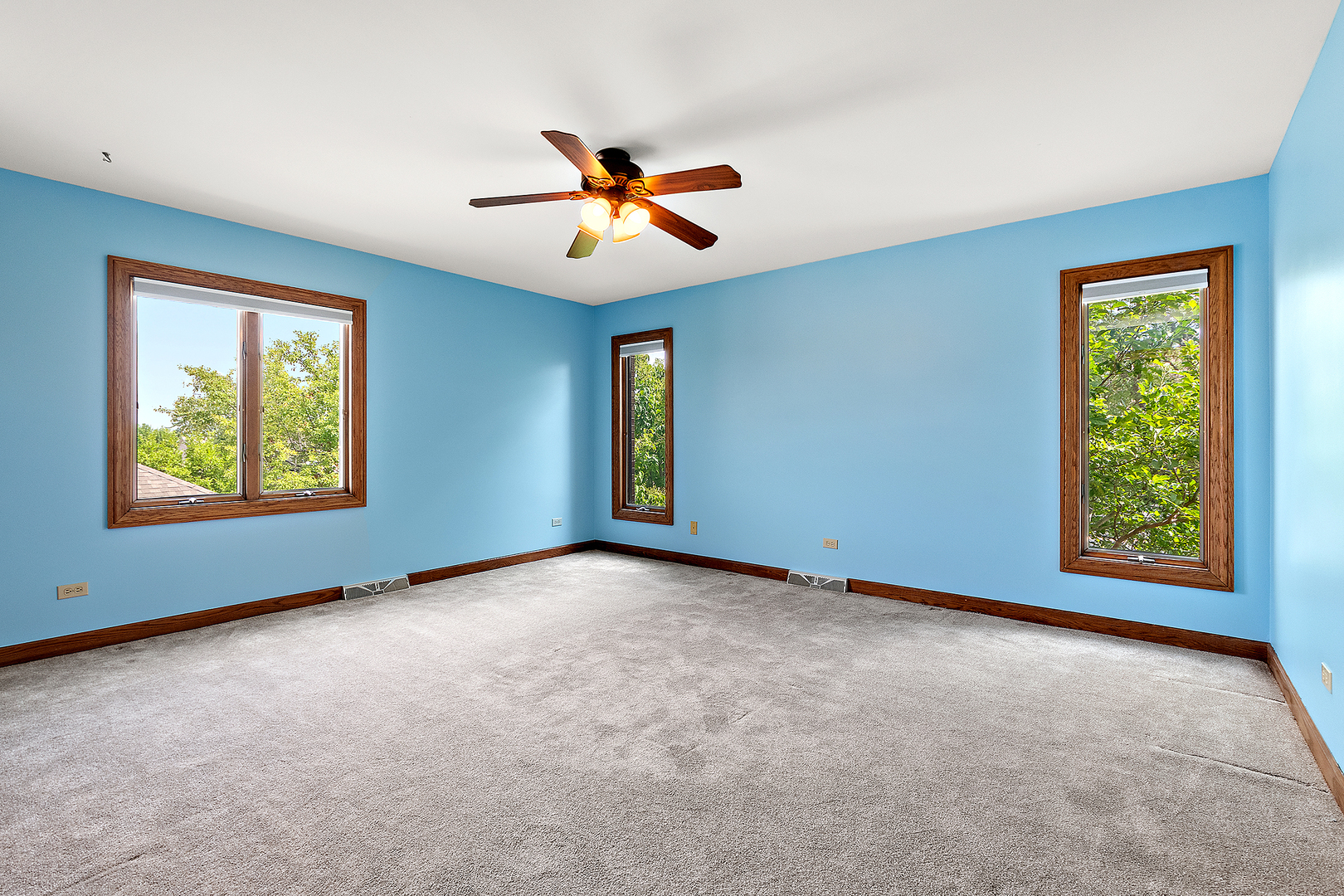 21978 Princeton Circle, Frankfort, IL 60423