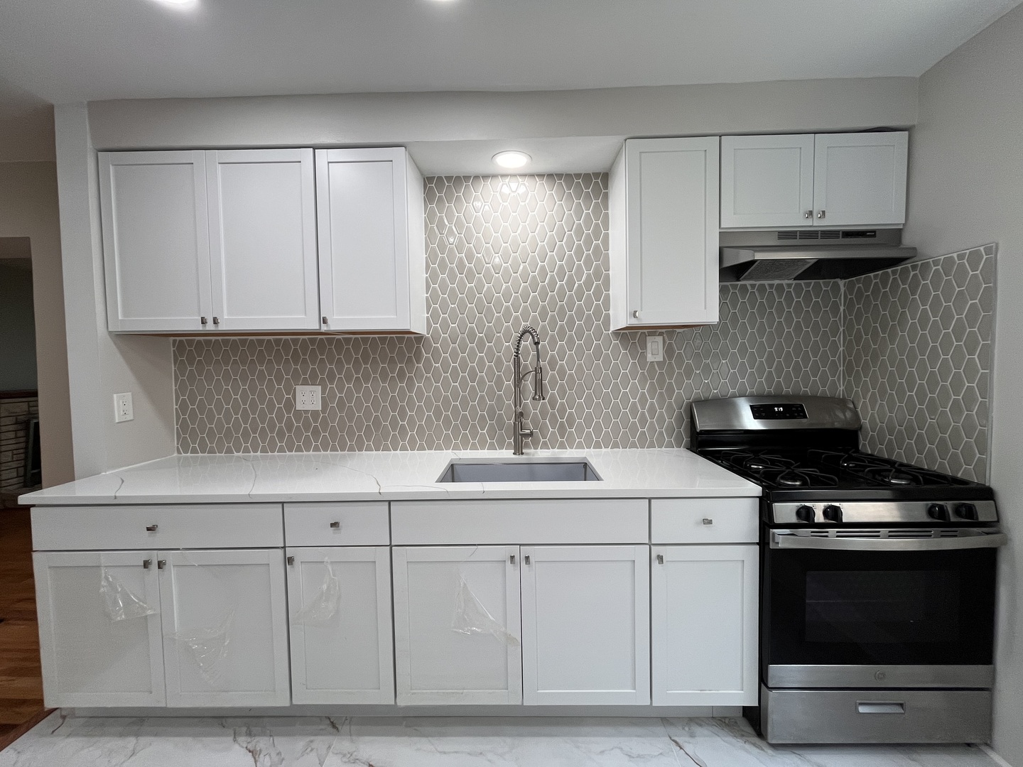 5238 S Hamlin Avenue, Chicago, IL 60632