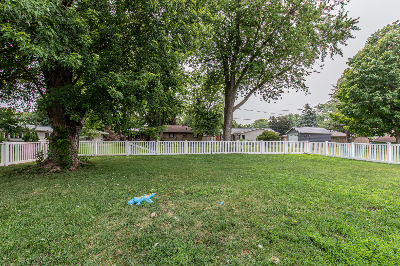 1009 S Park Avenue, Mendota, IL 61342