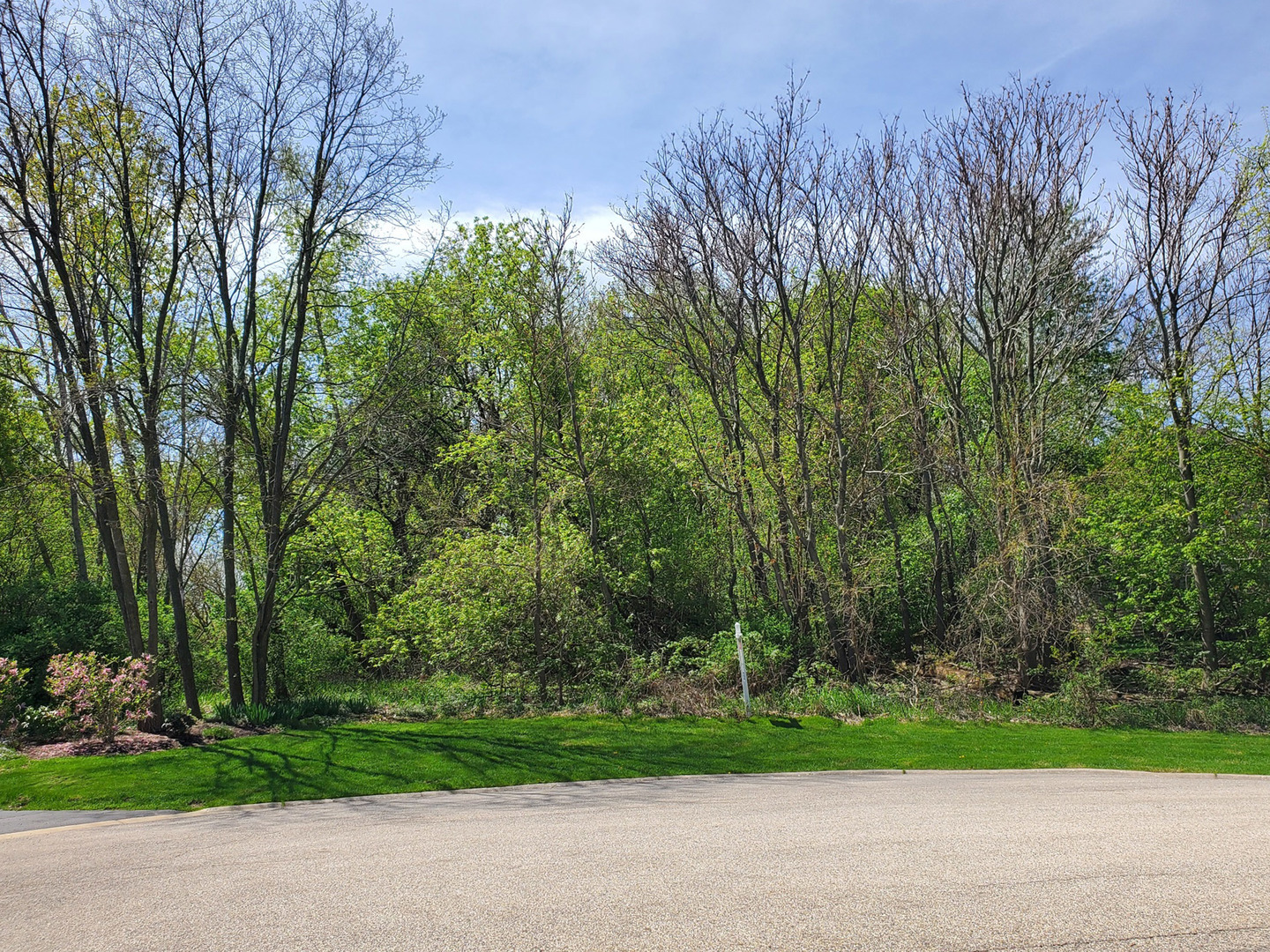 16149 Scenic Court, Wadsworth, IL 60083