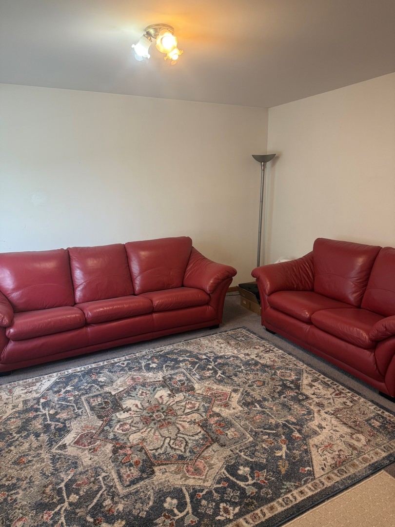 905 Thorn Creek Drive, Joliet, IL 60436