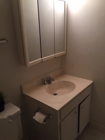 300 Roselle Road #419, Schaumburg, IL 60193