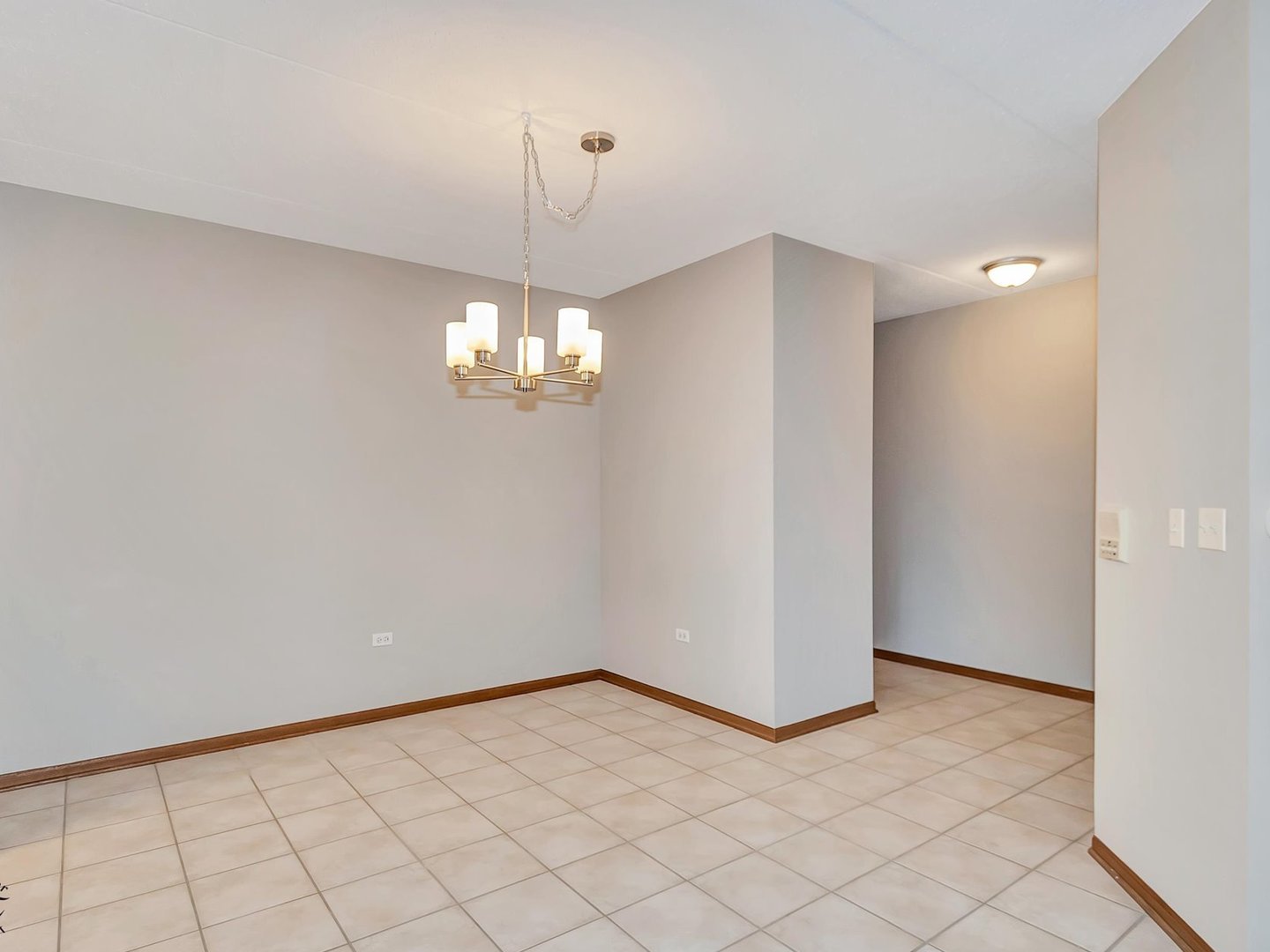 6320 Pine Ridge Drive #1B, Tinley Park, IL 60477