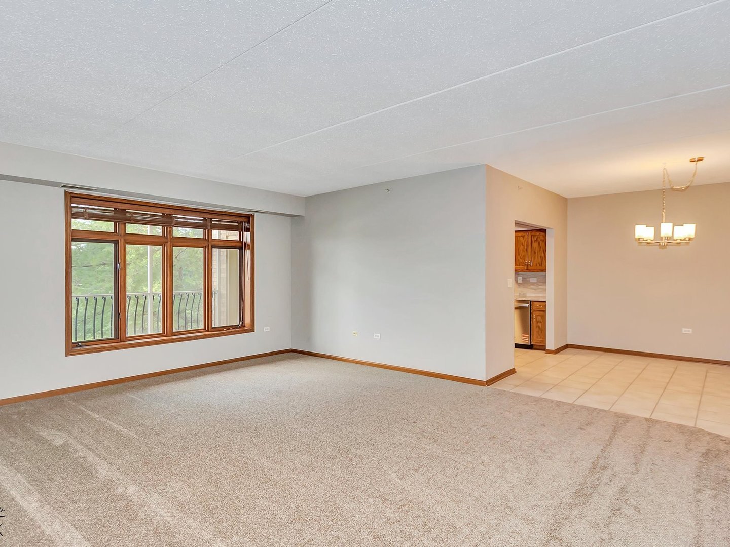 6320 Pine Ridge Drive #1B, Tinley Park, IL 60477