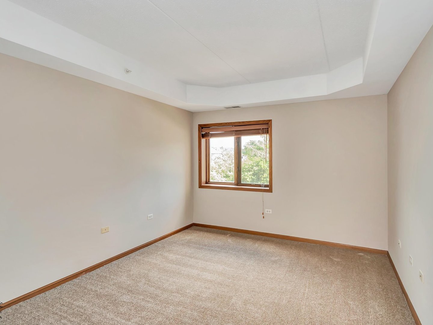 6320 Pine Ridge Drive #1B, Tinley Park, IL 60477