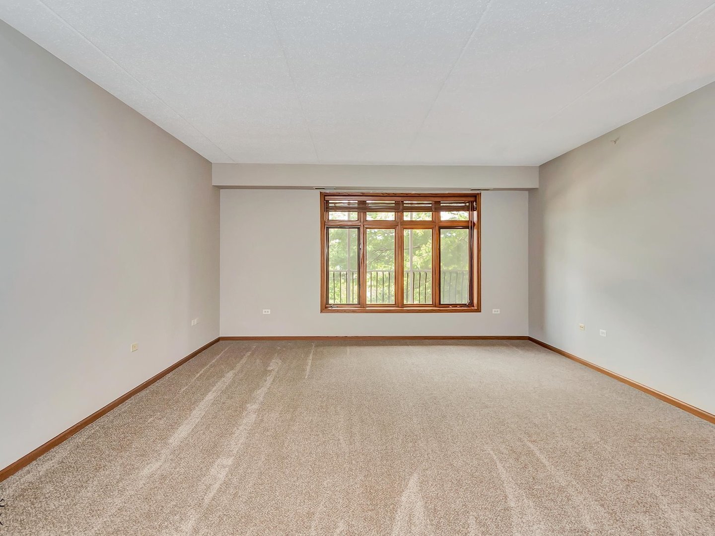 6320 Pine Ridge Drive #1B, Tinley Park, IL 60477