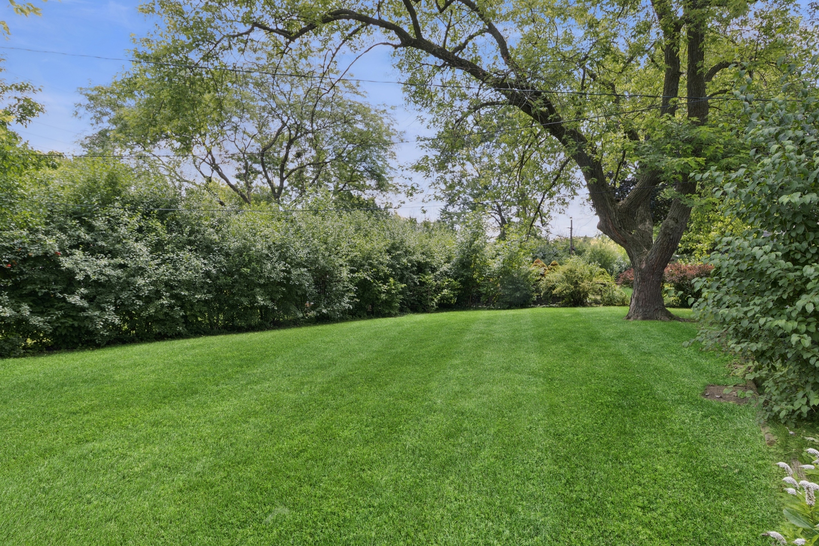185 Princeton Street, Hoffman Estates, IL 60169