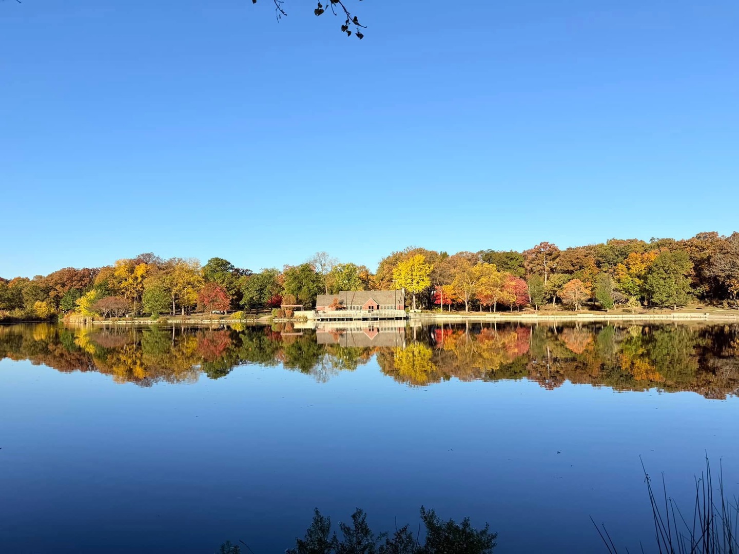 580 Oak Street, Glen Ellyn, IL 60137