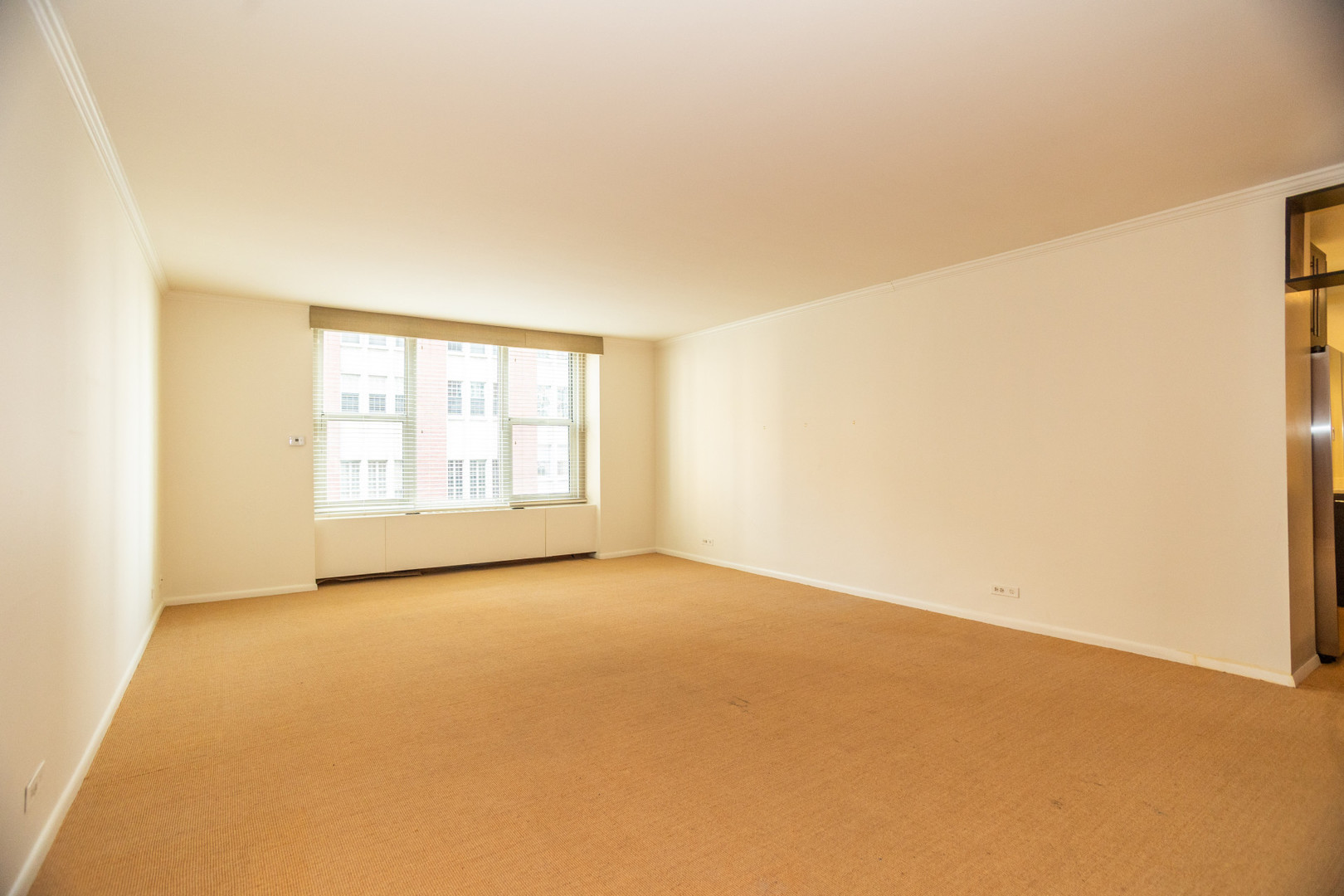 1325 N State Parkway #8D, Chicago, IL 60610