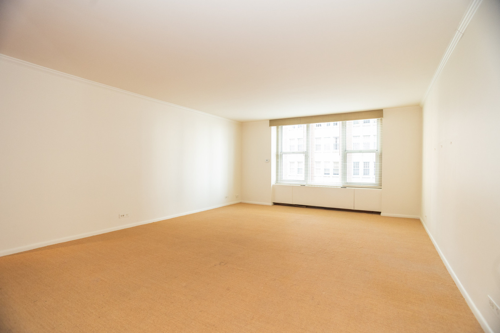 1325 N State Parkway #8D, Chicago, IL 60610