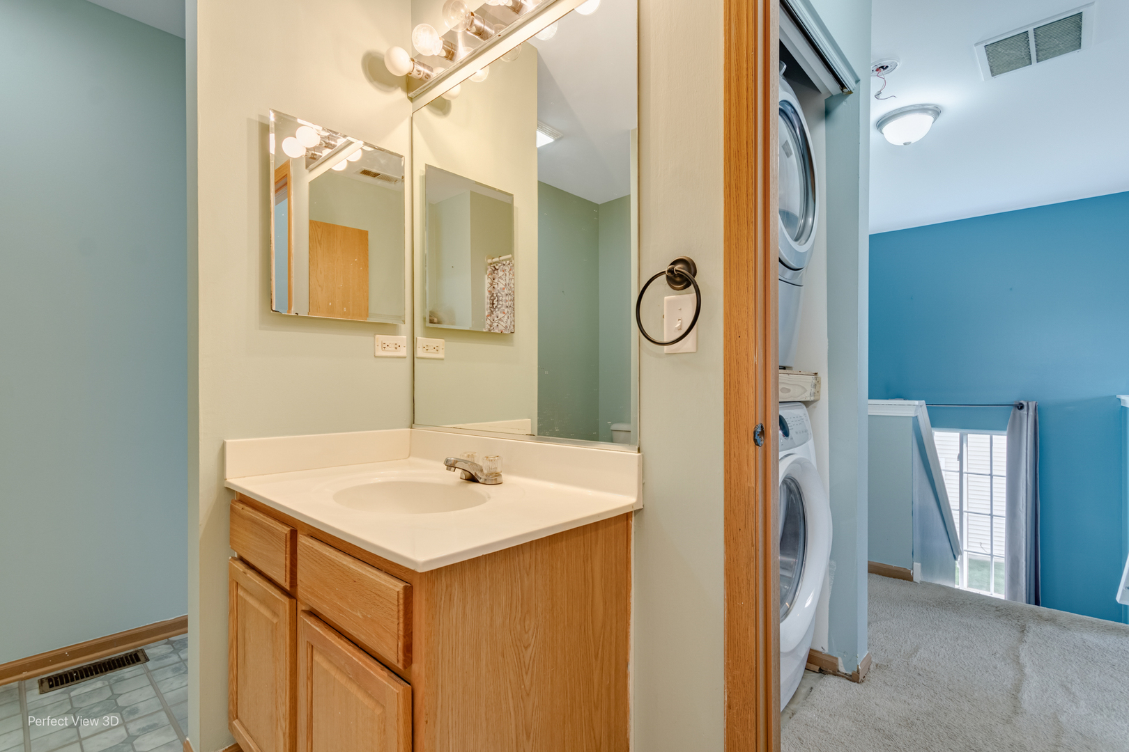 1423 Levato Lane, Minooka, IL 60447