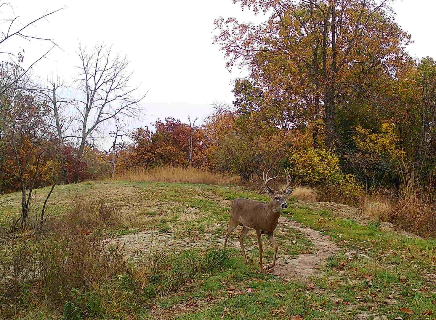 618 Princeton Road, Depue, IL 61322