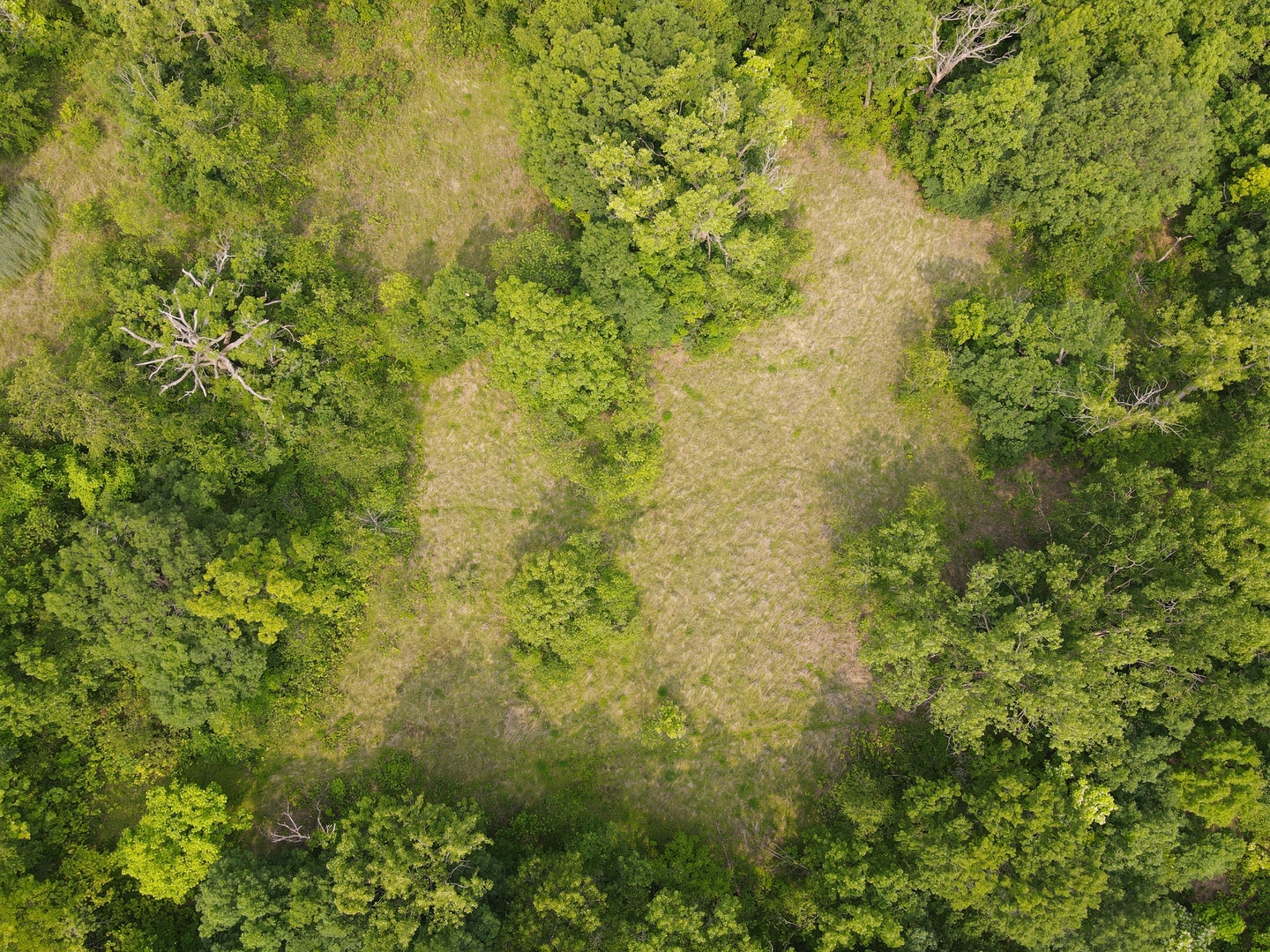 618 Princeton Road, Depue, IL 61322