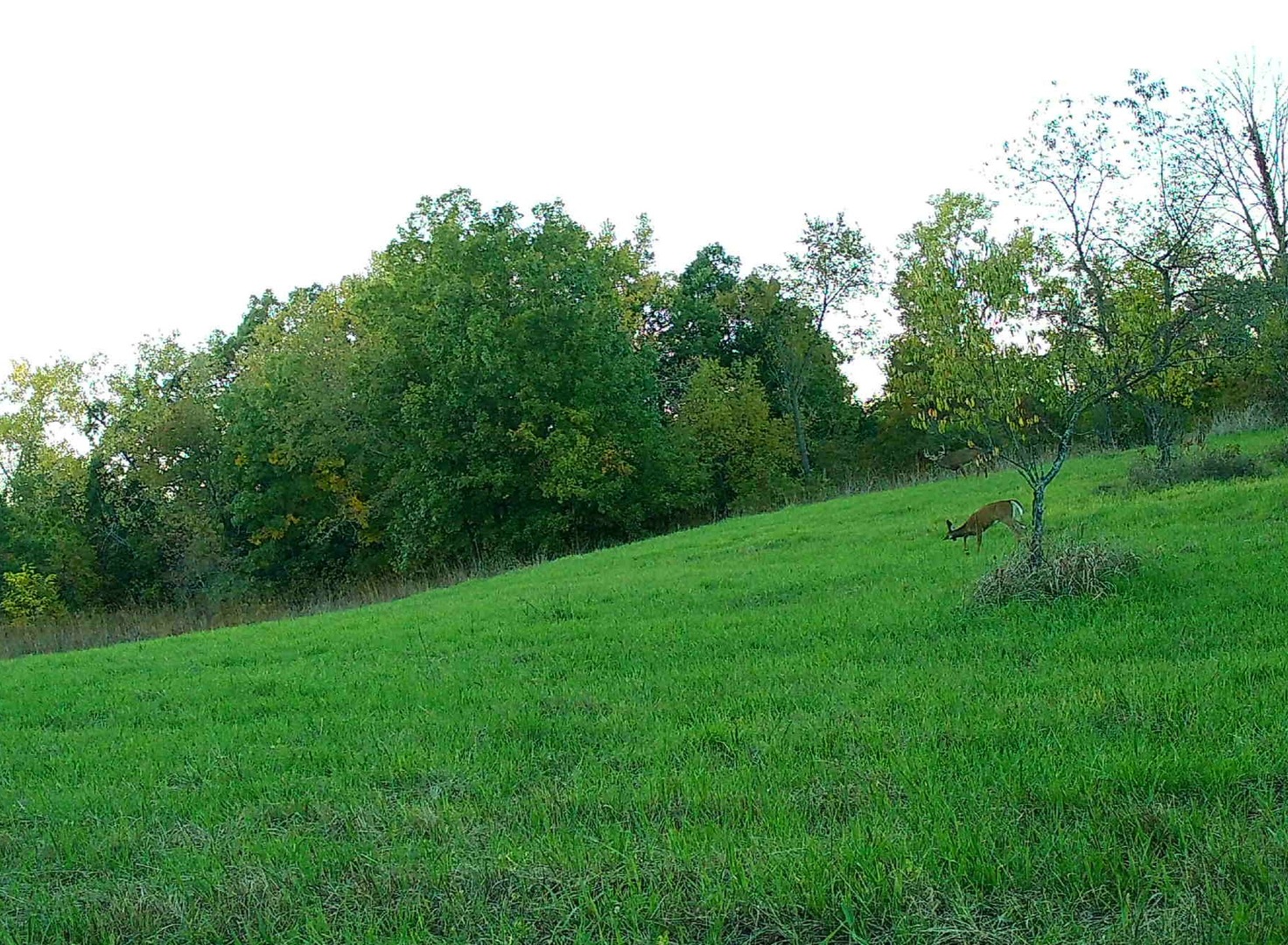 618 Princeton Road, Depue, IL 61322