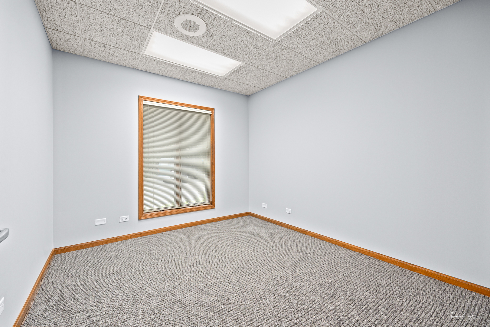 4900 Reilly Place, Lisle, IL 60532